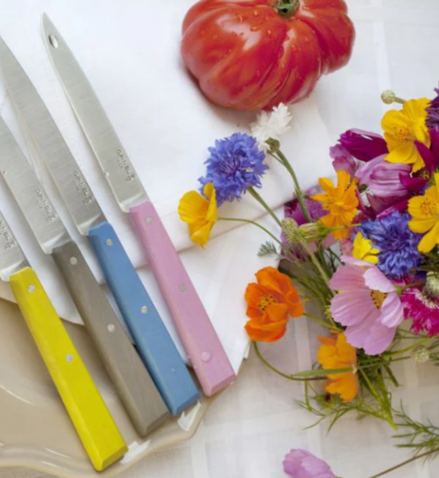 Box of 4 table knives - Opinel